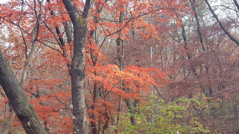 photo_2023-11-01_14-07-19.jpg