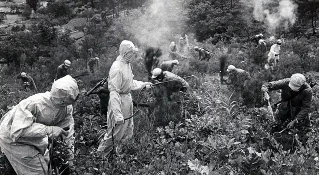 미군이 투하한 독충을 박멸하고 있는 현장(중국측 자료).png